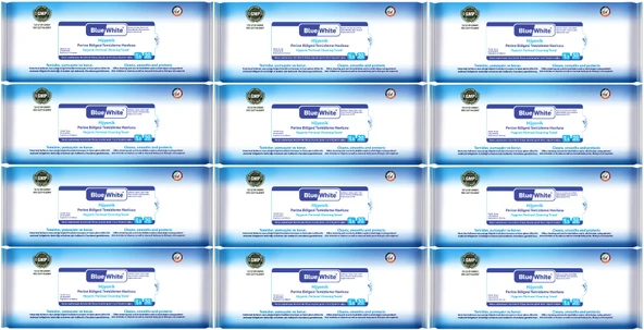 BlueWhite Yetişkin Hasta Perine Bölgesi Temizleme Mendil-Havlusu (12 li set) 50 Yaprak Hijyenik