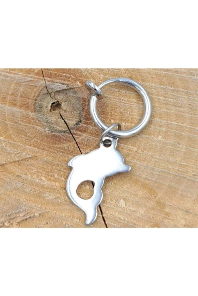Çelik Gümüş Renk Figürlü Piercing