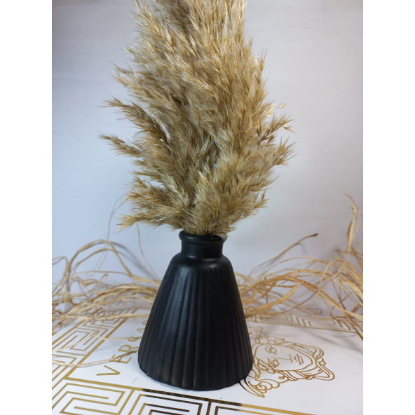 PAMPAS VAZOSU SİYAH - 2