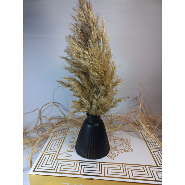PAMPAS VAZOSU SİYAH - 3