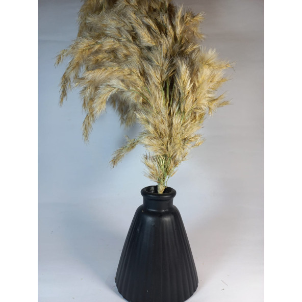 PAMPAS VAZOSU SİYAH - 4