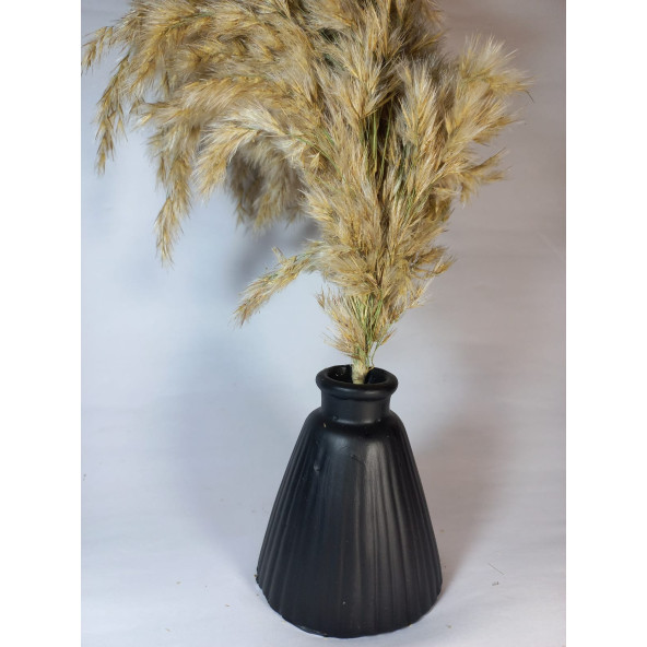 PAMPAS VAZOSU SİYAH - 5