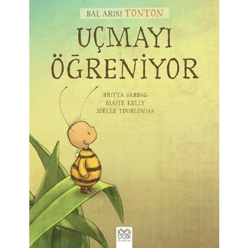 Bal Arısı Tonton - Uçmayı Öğreniyor