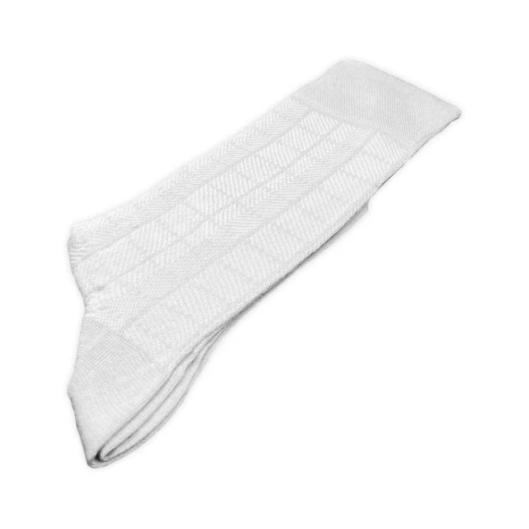 Pro Çorap Atlas Modal Erkek Çorabı Gri (18139-R3) - Resim 3