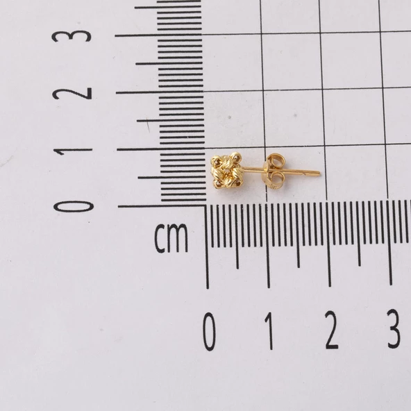 14 Ayar Dorika Toplu Sarı Altın Küpe - Resim 5