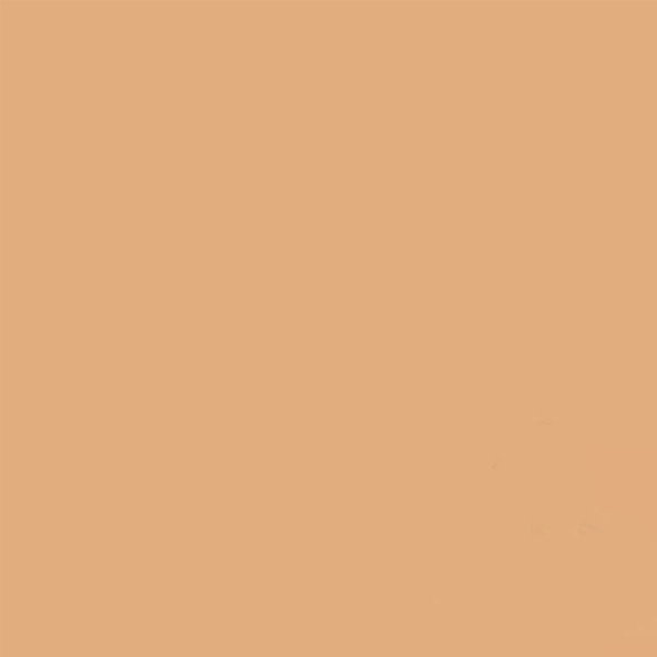 Gdx Seyyar Kağıt Sonsuz Stüdyo Fon Perde (Beige) 2.70x11 Metre - 4