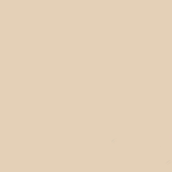 Gdx Kağıt Sonsuz Stüdyo Fon Perde (Egg Nog) 2.70x11 Metre - 4