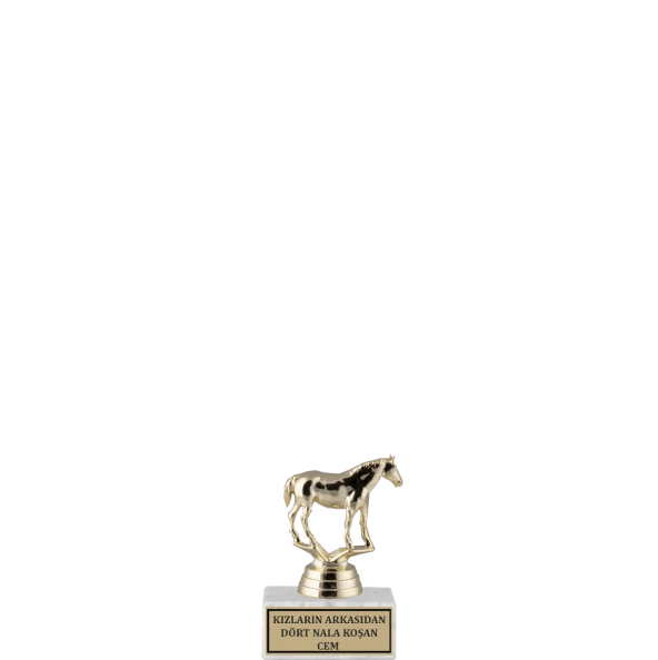 ODAK KUPA - Hediyelik Ürünler - HDY-091 - 9 cm