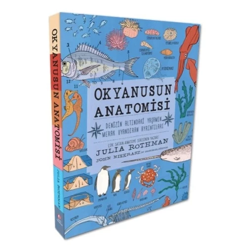 Okyanusun Anatomisi - 1