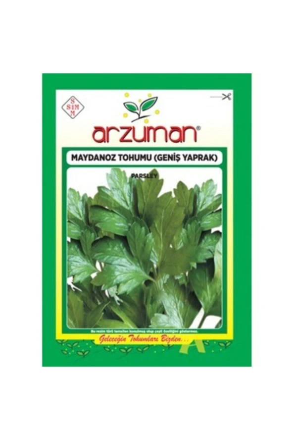 Dgiant Italiana Maydanoz Tohumu 25 g