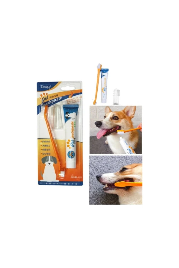 Kedi Köpek Diş Fırçası ve Diş Macunu Seti Yenilebilir Diş Macunu Dental Kit Ağız ve Diş Sağlık Seti