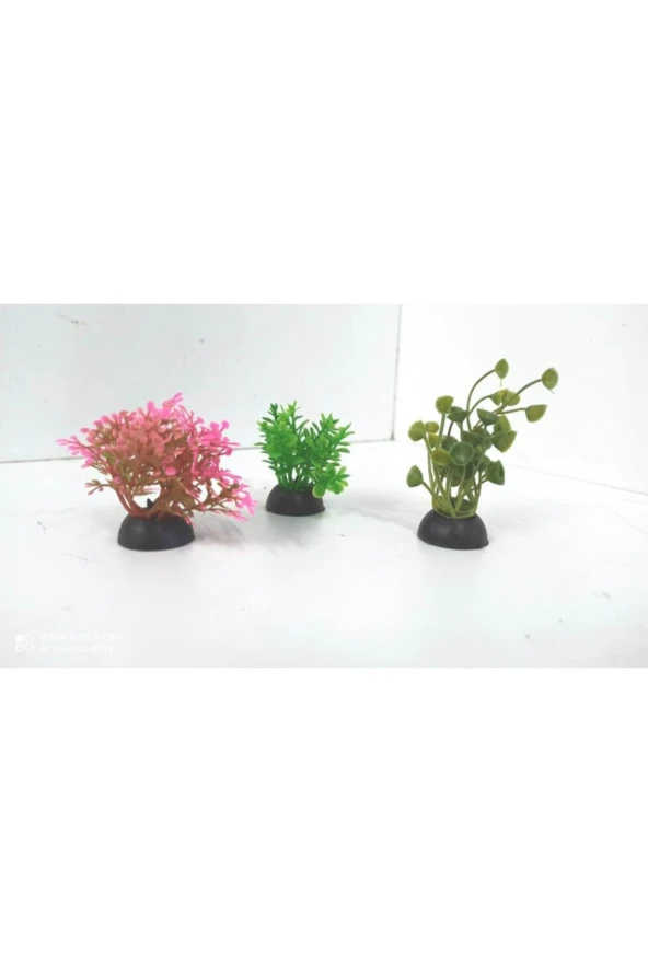 Mini Plastik Bitki Seti No: 2