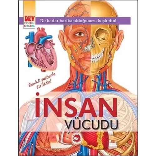 Dev Posterli Kitabım - İnsan Vücudu