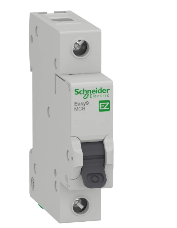 Schneider 1X20 3Ka C Serisi 6Ka Otomatik Sigorta EZ9F43120