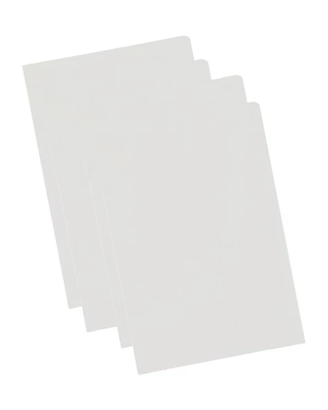 Bigpoint L Dosya Standart 80 Mikron 100lü Paket BP299 - 2