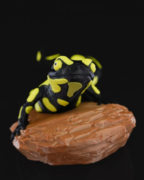 Kaya Üstünde Semender Büst-Figür-Heykel - 4