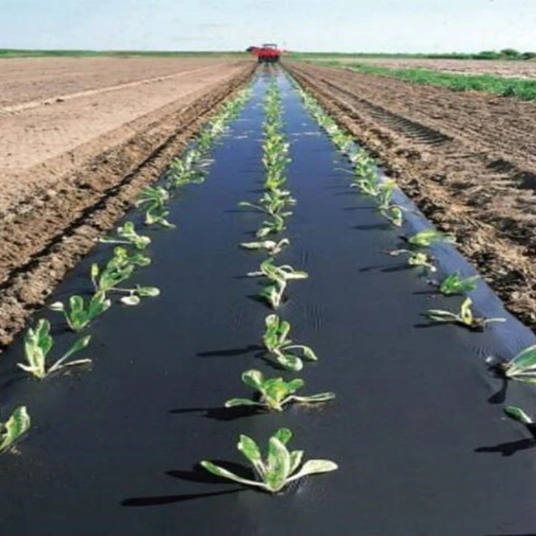 ÇİLEK MULCH NAYLONU 100 CM x 1000 METRE SİYAH TABAN ÖRTÜSÜ PİDOK ÇİLEK MULCH 30 MİCRON UV Lİ SEBZE NAYLONU - 4