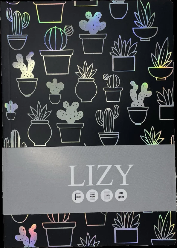 17x24 Amerikan Bristol Esnek Janjanlı Defter 120yp
80gr - 2