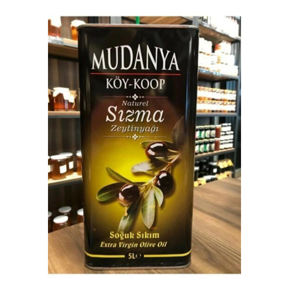 SAKLI VADİ Mudanya Köy Koop. Soğuk Sıkım Zeytin Yağı 5 Lt - 1