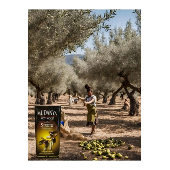 SAKLI VADİ Mudanya Köy Koop. Soğuk Sıkım Zeytin Yağı 5 Lt - 2