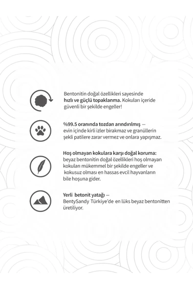 BentySandy Aktif Karbonlu Topaklanan İnce Taneli Kedi Kumu 10L - Resim 2