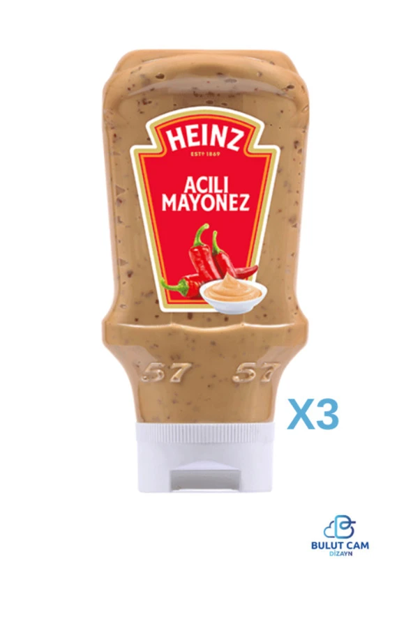 BULUT DİZAYN-3lü Paket Heinz Acılı Mayonez 405 Gr