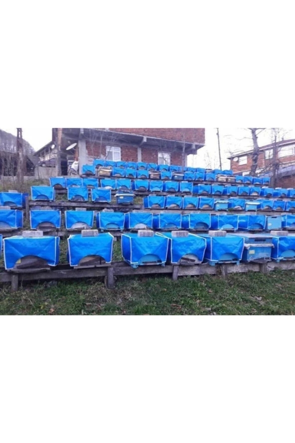 Kovan Brandası (Çadırı) - 2