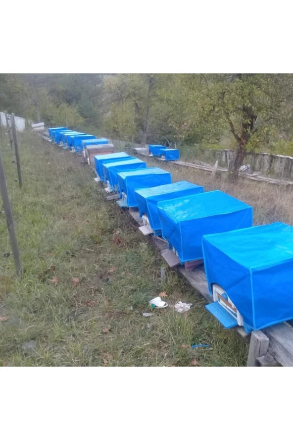 Kovan Brandası (Çadırı) - 3