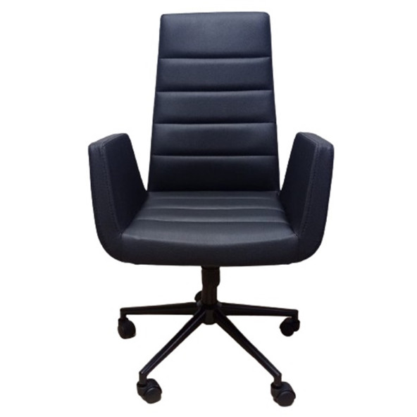 Şef Koltuğu Müdür Koltuğu Döküm Süngerli - Resim 2