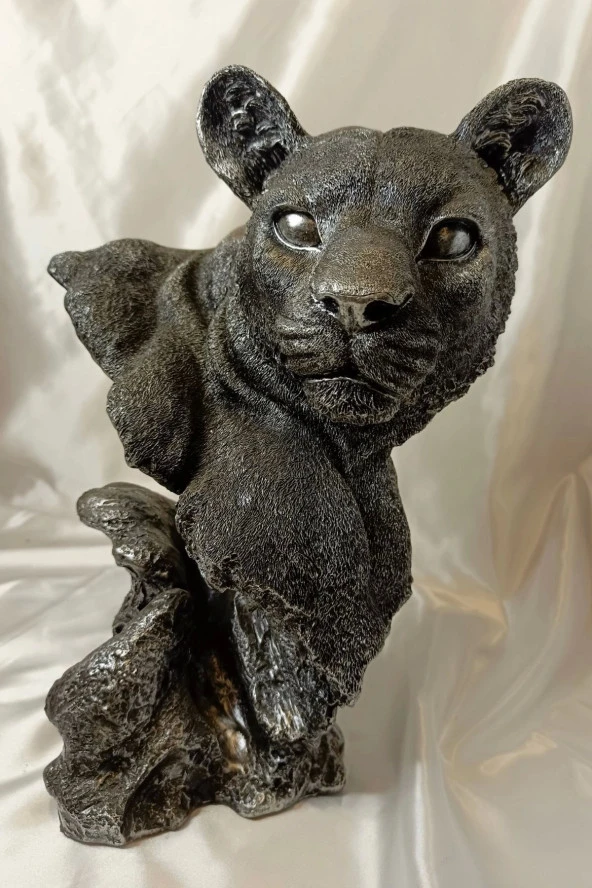 Aslan Kaplan Jaguar Biblo - 2