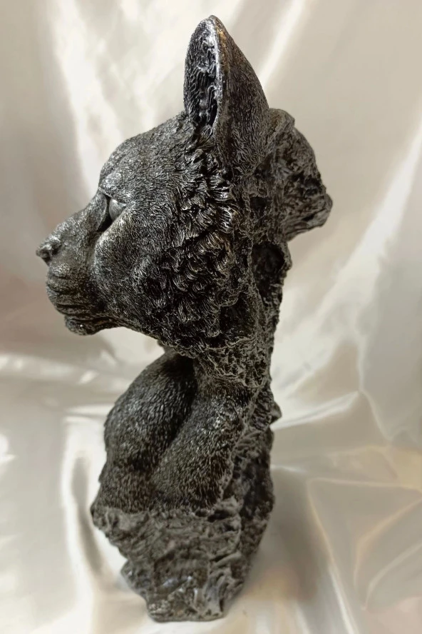 Aslan Kaplan Jaguar Biblo - 3
