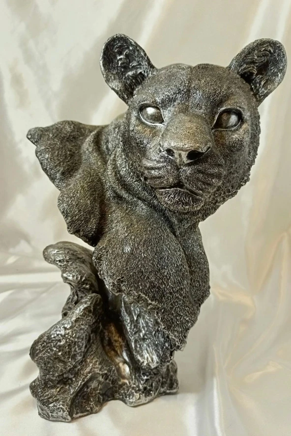 Aslan Kaplan Jaguar Biblo - 6