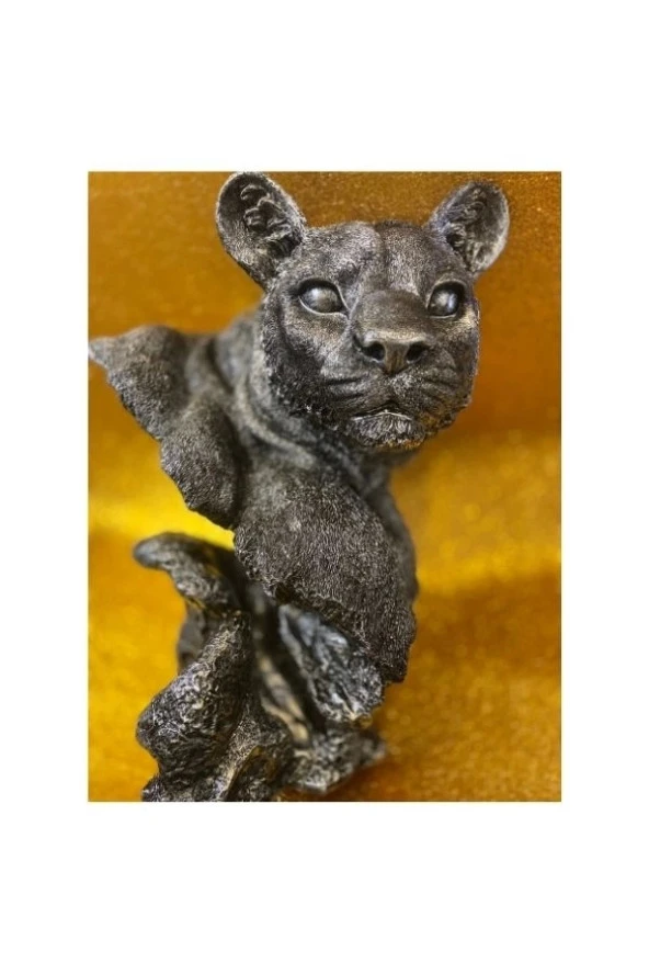 Aslan Kaplan Jaguar Biblo - 7