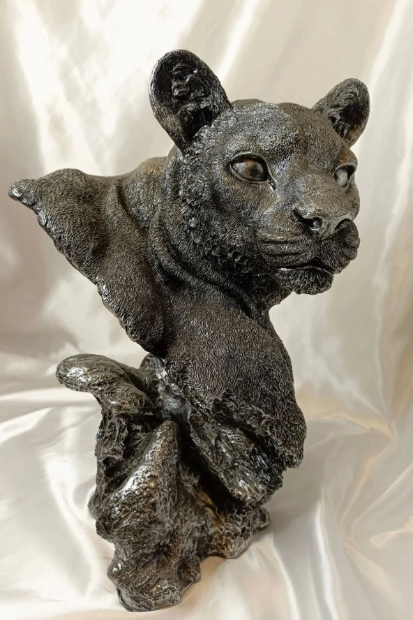 Aslan Kaplan Jaguar Biblo - 8