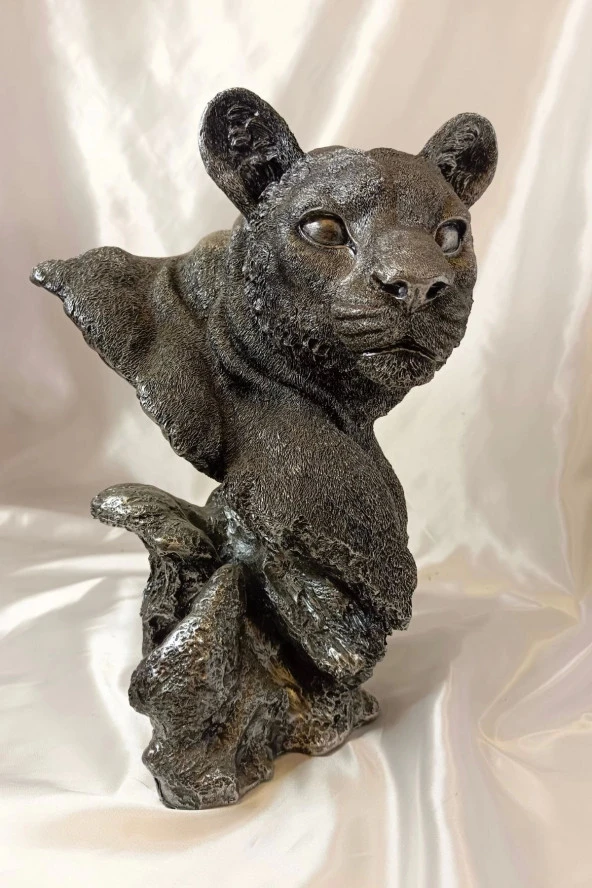 Aslan Kaplan Jaguar Biblo - 9