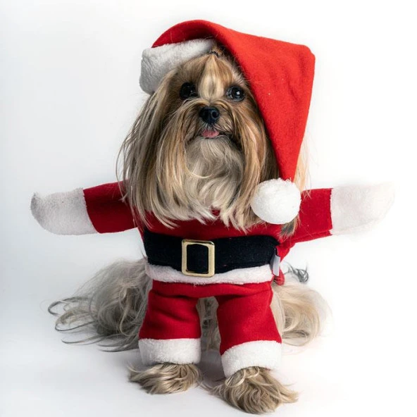 Noel Baba Kostüm Orta Irk Köpeklere Uygun Polar Göğüs65-71cm Sırt61cm 3XLarge
