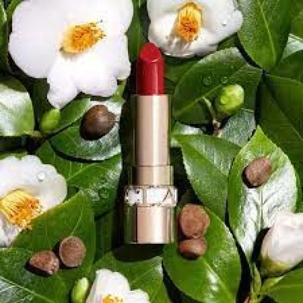 Clarins Joli Rouge Satin Lipstick 742