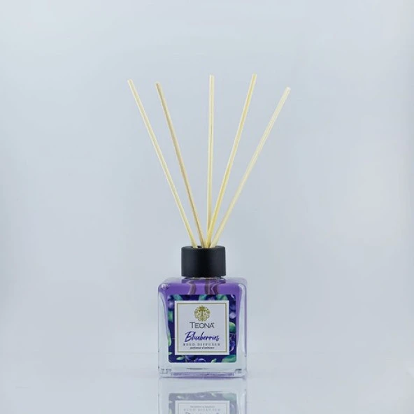 Teona Blueberries Bambu Çubuklu Oda Kokusu 110 ml