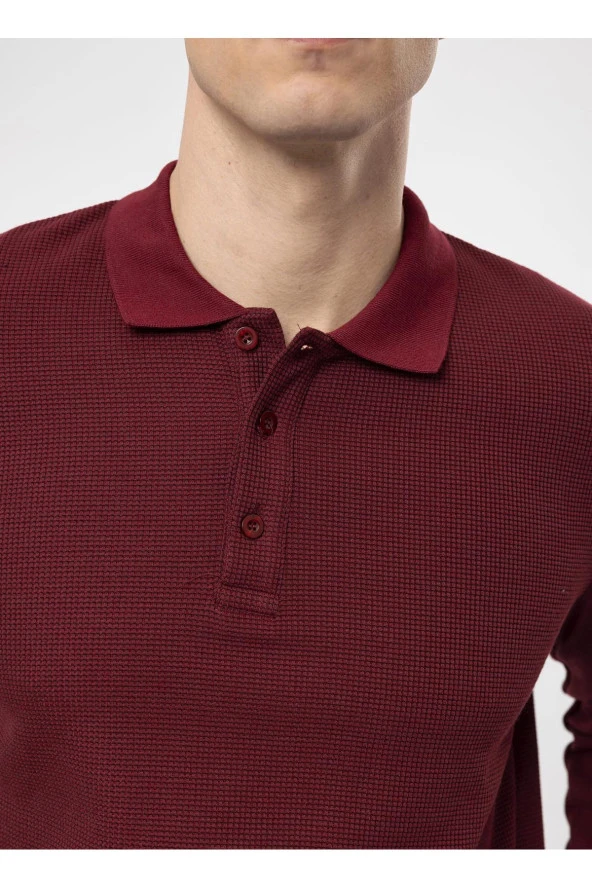 Süvari Polo Yaka Regular Fit Armürlü Koyu Bordo Erkek Kazak TR2013700314 - 4