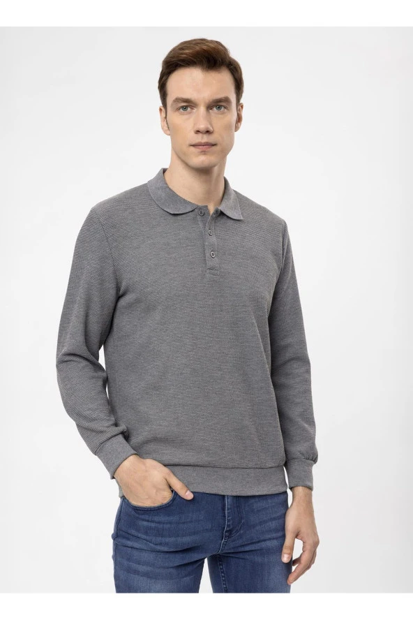 Süvari Polo Yaka Regular Fit Armürlü Antrasit Erkek Kazak TR2013700314 - 3