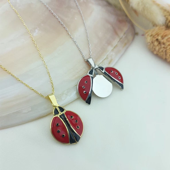 Vaoov 925 Ayar Gümüş Açılan İsimli Gold Uğur Böceği Kolye - Resim 4