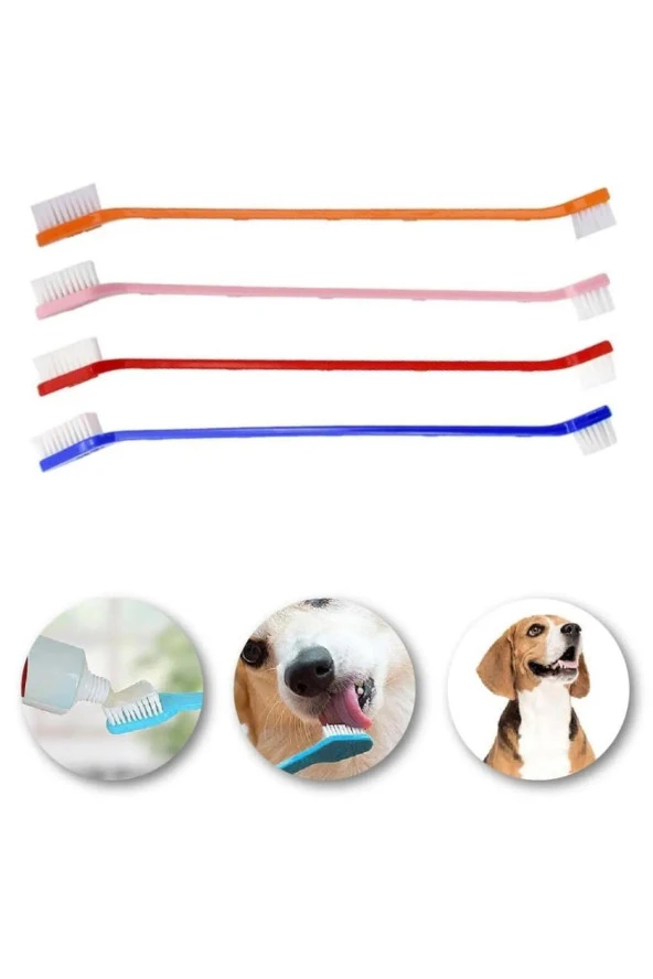 3B Trend Kedi Köpek Çift Taraflı Diş Fırçası Yavru ve Yetişkinler Pet Diş Sağlığı Koruma - 7