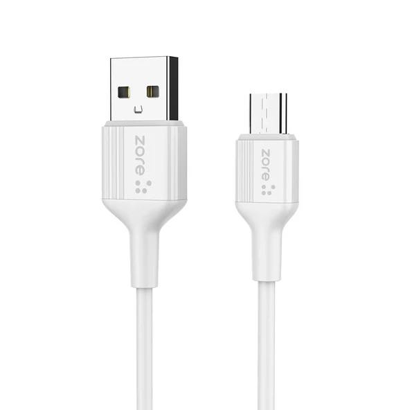 Zore Play Serisi PL06 Type-C 2in1 Seyahat Şarj Aleti 20W - 2