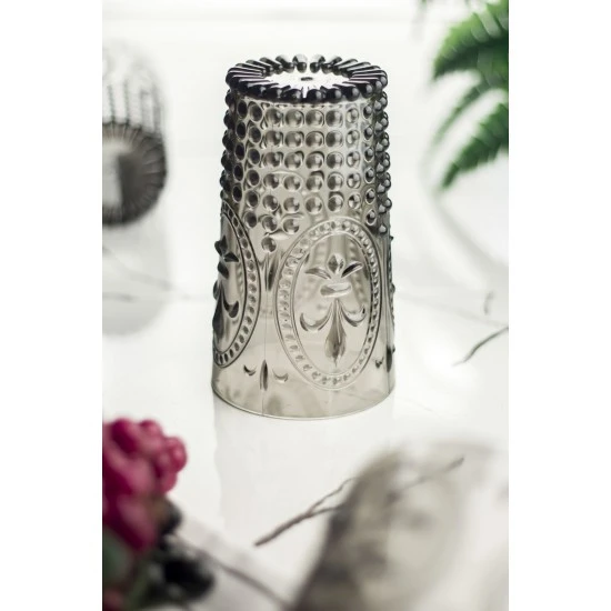 Akrilik Füme 6lı Uzun Bardak & Su Meşrubat Bardağı 750 ml ( Büyük Boy & Cam Değildir ) - 3