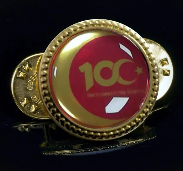 JANDARMA 100. YIL HARİCİ Ceket Rozeti - 2