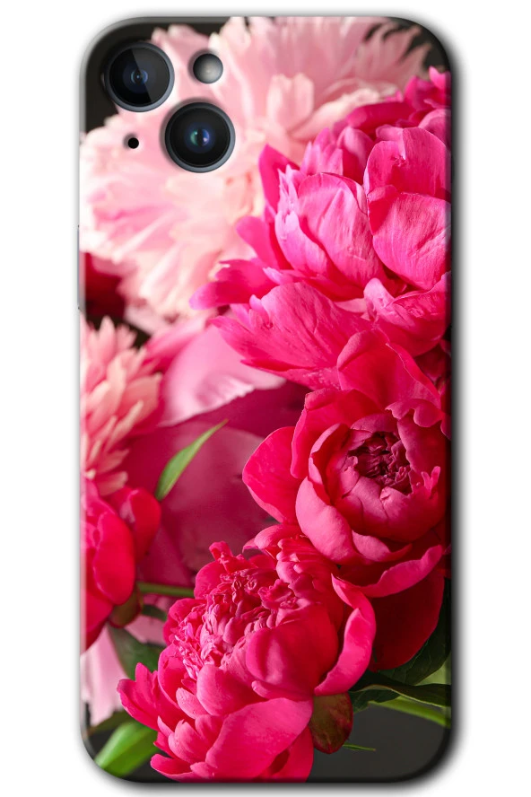 iPhone 14 Kılıf HD Desen Baskılı Arka Kapak - Kırmızı Beyaz Gül
