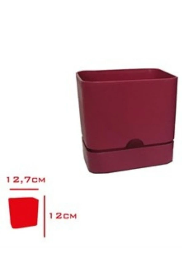 Viyalente Polıwork Saksı Begonya Kare 13 Cm Bordo