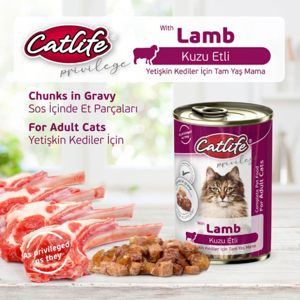 Catlife Kuzu Etli Kedi Konservesi 400 gr Yaş Kedi Maması Konserve - 2