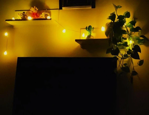 Deniz Kabuklu Pilli Dekoratif Led Işık Yılbaşı Süsü 2 Metre - 4