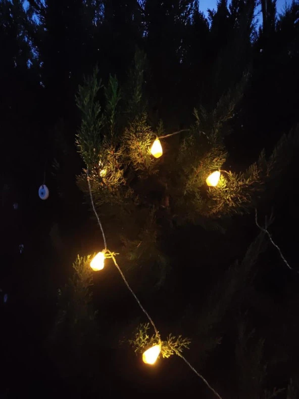 Deniz Kabuklu Pilli Dekoratif Led Işık Yılbaşı Süsü 2 Metre - 9